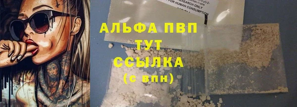 стаф Каменногорск
