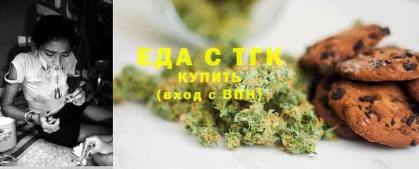 стаф Каменногорск