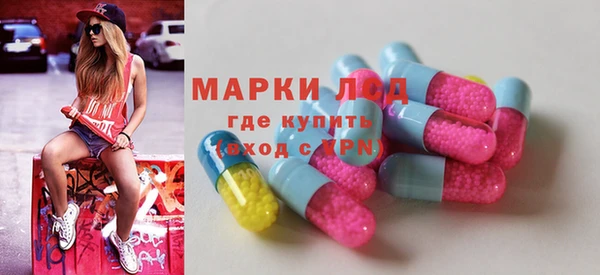 стаф Каменногорск