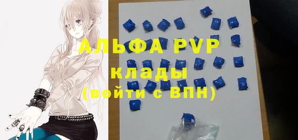стаф Каменногорск