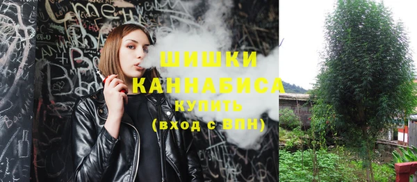 стаф Каменногорск