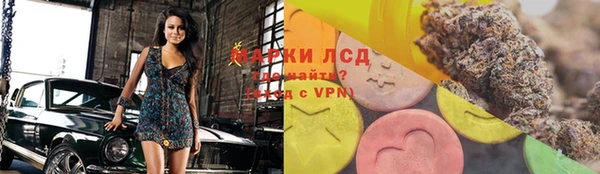 стаф Каменногорск